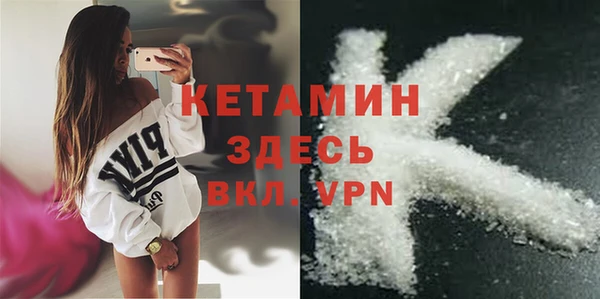 дживик Гусь-Хрустальный