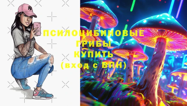 mdpv Гусев
