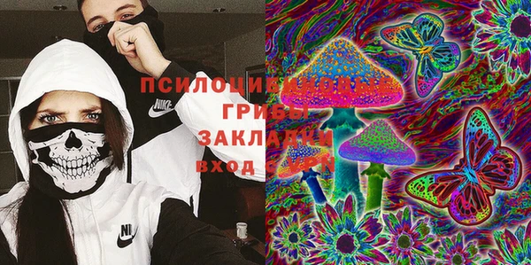 дживик Гусь-Хрустальный