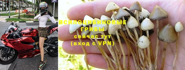 mix Гусиноозёрск