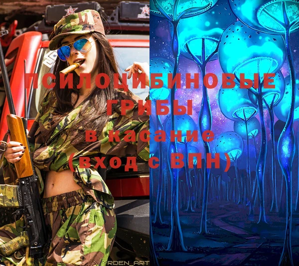 mdpv Гусев