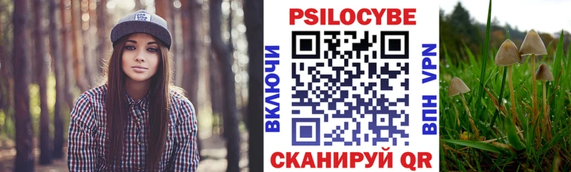 Галлюциногенные грибы мухоморы Купить закладки Козловка
