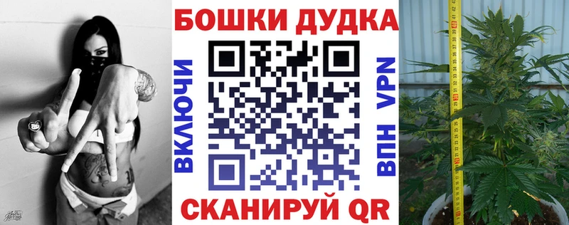 Купить закладки  Козловка  Каннабис Amnesia 